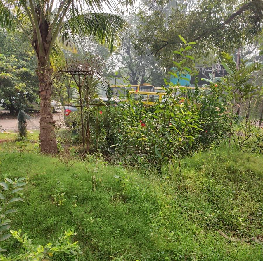 PCACS Campus & Infrastructure photo 15